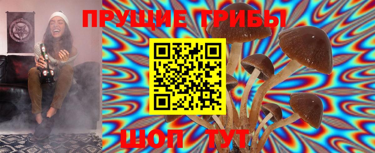 Ейск  Галлюциногенные грибы Magic Shrooms  Вход с VPN 